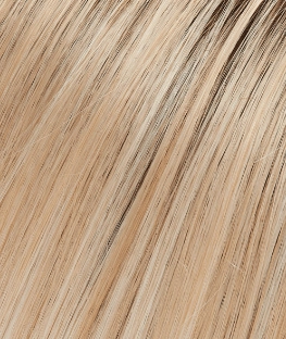 Maya Wig by Jon Renau | Synthetic Lace Front (Mono Top)