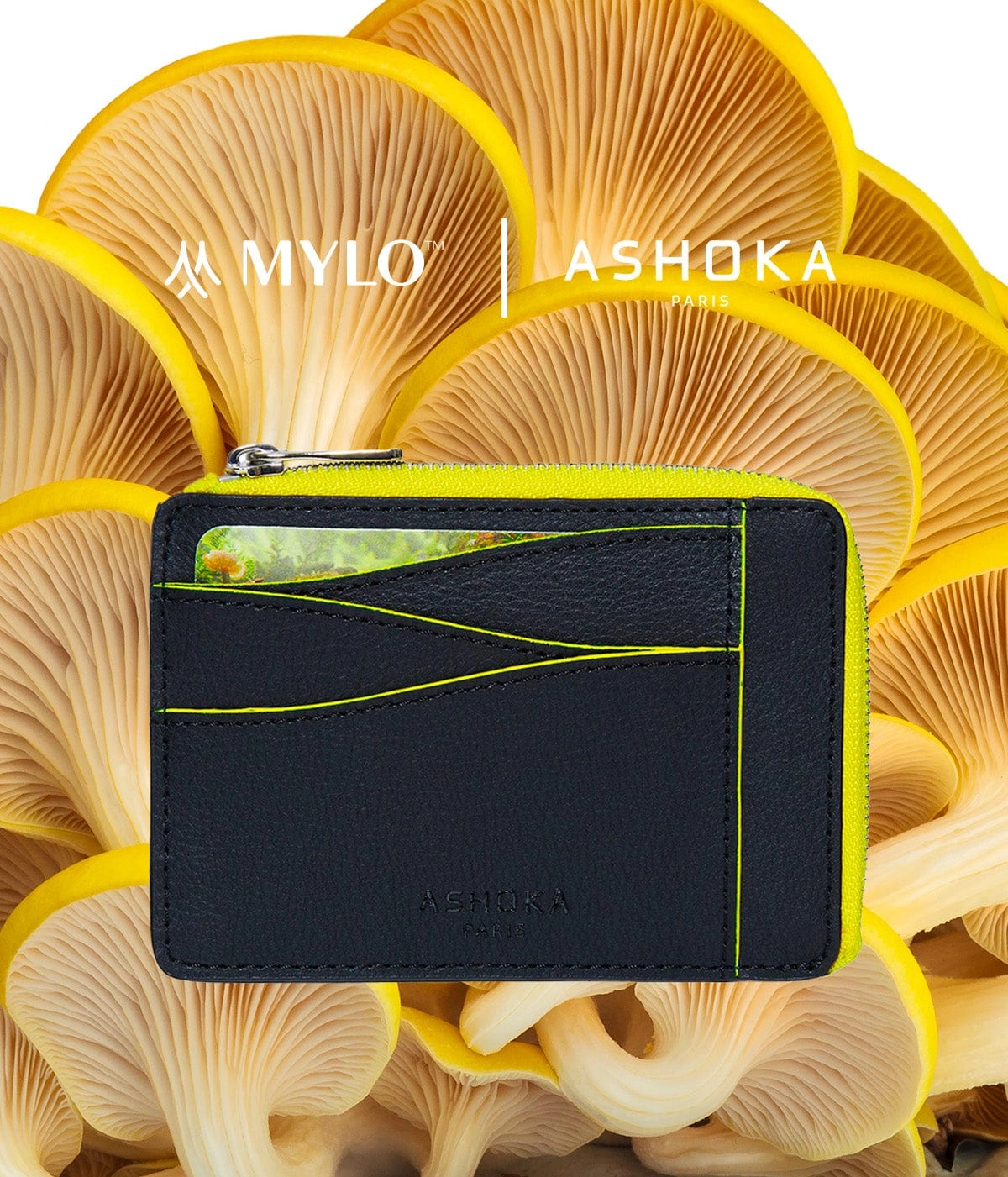 Mylo™️ Vegan Mushroom Leather Large Zipped Card Holder | Yellow