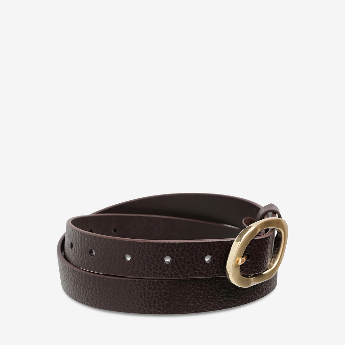 Nocturne Belt - Choc/Gold
