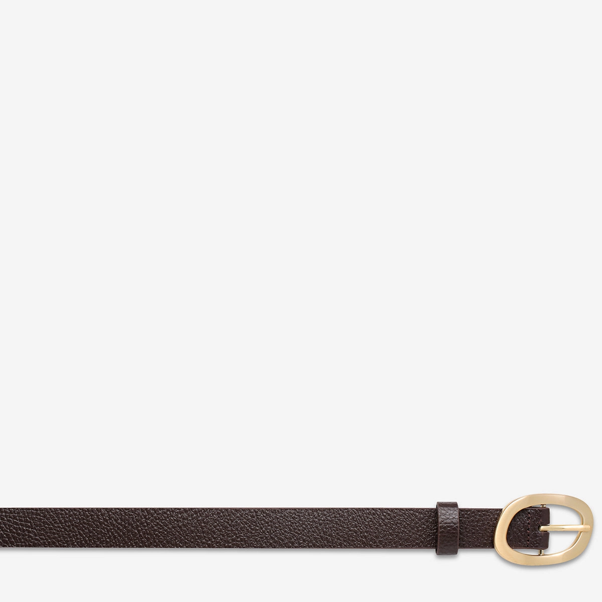 Nocturne Belt - Choc/Gold