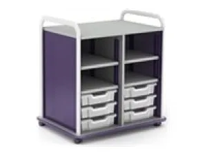 Paragon A&D Crossfit Storage - Trolley - 20 drawers - 4 shelves - 16 gauge tubular steel, TFM CFD60OF17CO-918IZI