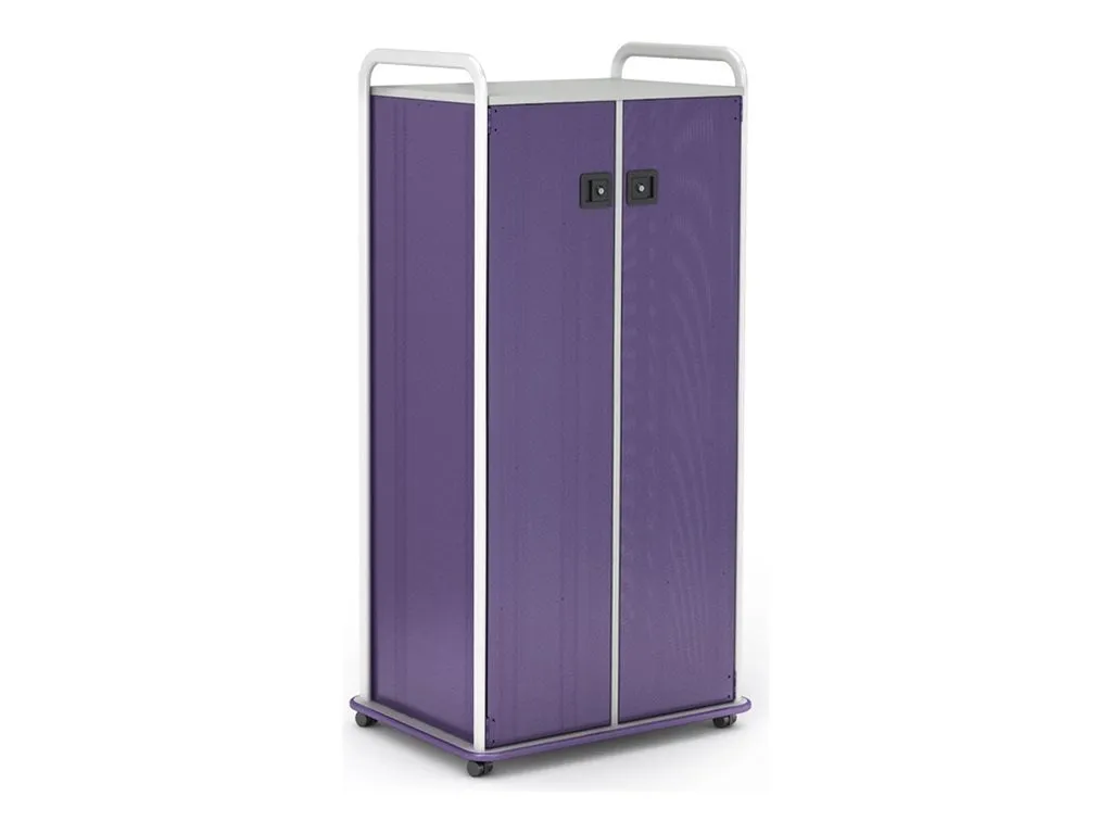 Paragon A&D Crossfit Storage - Trolley - 20 drawers - 4 shelves - 2 doors - 16 gauge tubular steel, TFM - frost, purple, wisdom CFD60WD17CO-918PZP