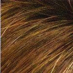 Savannah Wig by Envy | Synthetic (Mono Top)